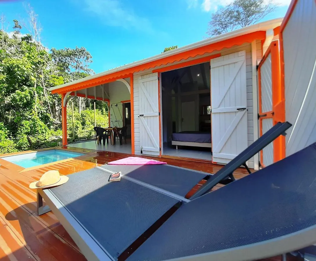 Caraibes Cottages Corail Piscine Privee A 900M De La Plage De Grande Anse contacts