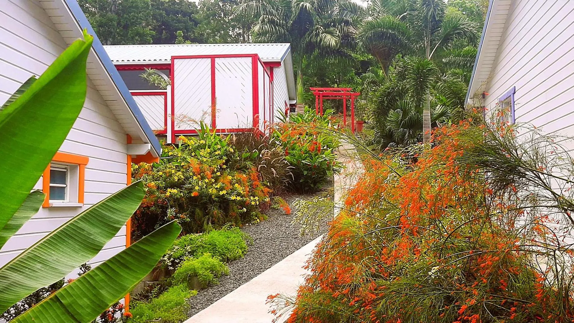 Caraibes Cottages Corail Piscine Privee A 900M De La Plage De Grande Anse Deshaies Holiday home