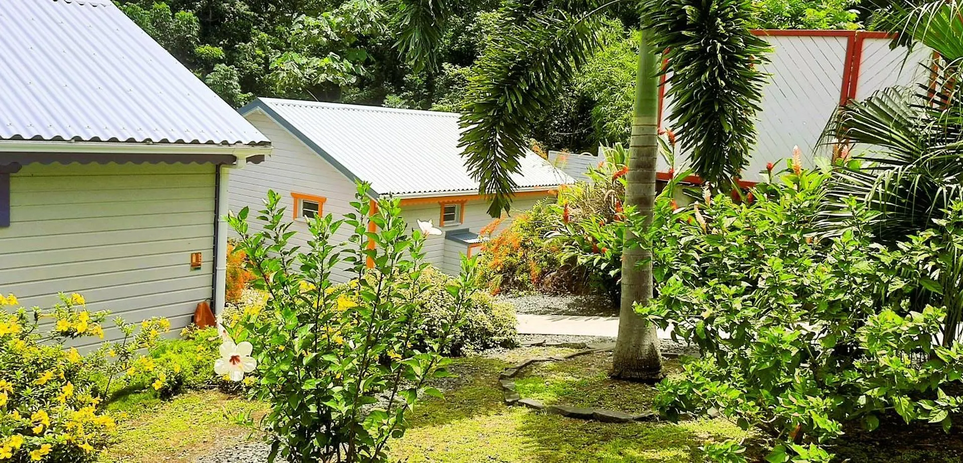 Caraibes Cottages Corail Piscine Privee A 900M De La Plage De Grande Anse Deshaies
