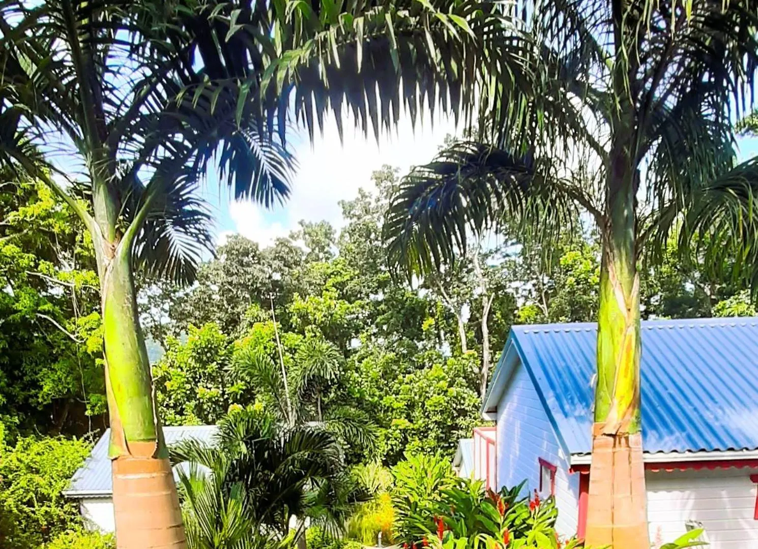 Holiday home Caraibes Cottages Corail Piscine Privee A 900M De La Plage De Grande Anse Deshaies