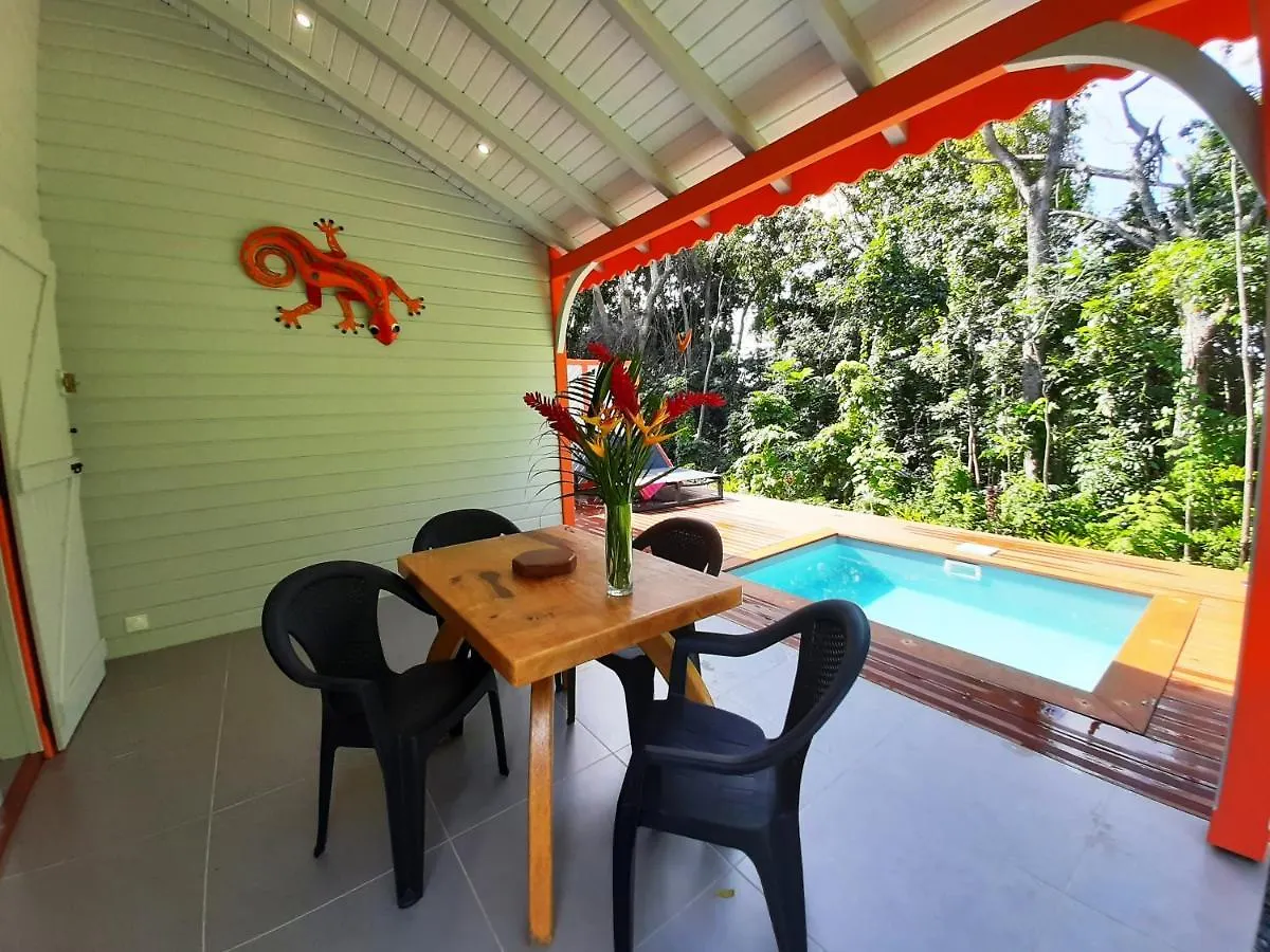 דסהייס Caraibes Cottages Corail Piscine Privee A 900M De La Plage De Grande Anse בית נופש