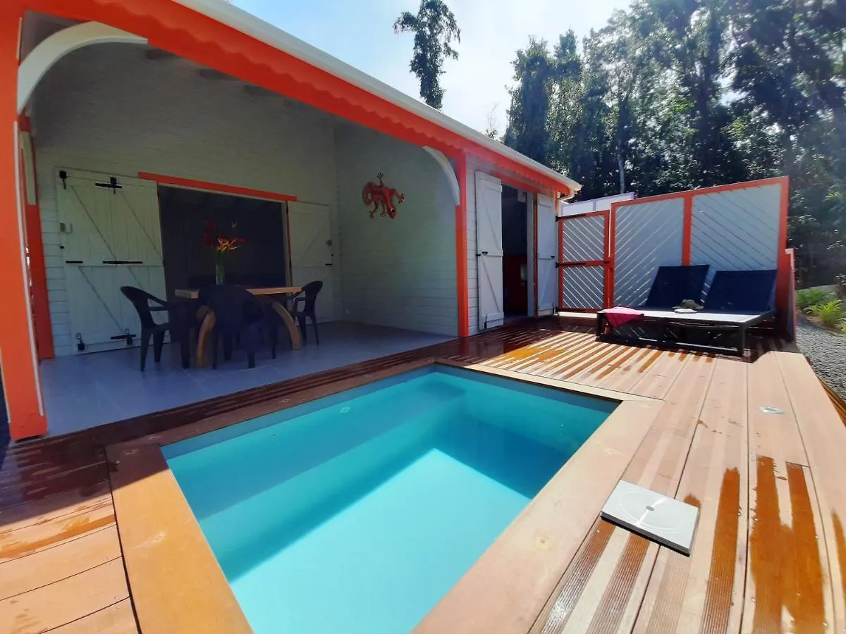 בית נופש דסהייס Caraibes Cottages Corail Piscine Privee A 900M De La Plage De Grande Anse גוואדלופ