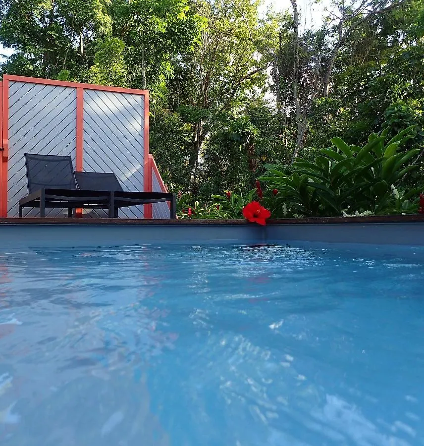 דסהייס Caraibes Cottages Corail Piscine Privee A 900M De La Plage De Grande Anse