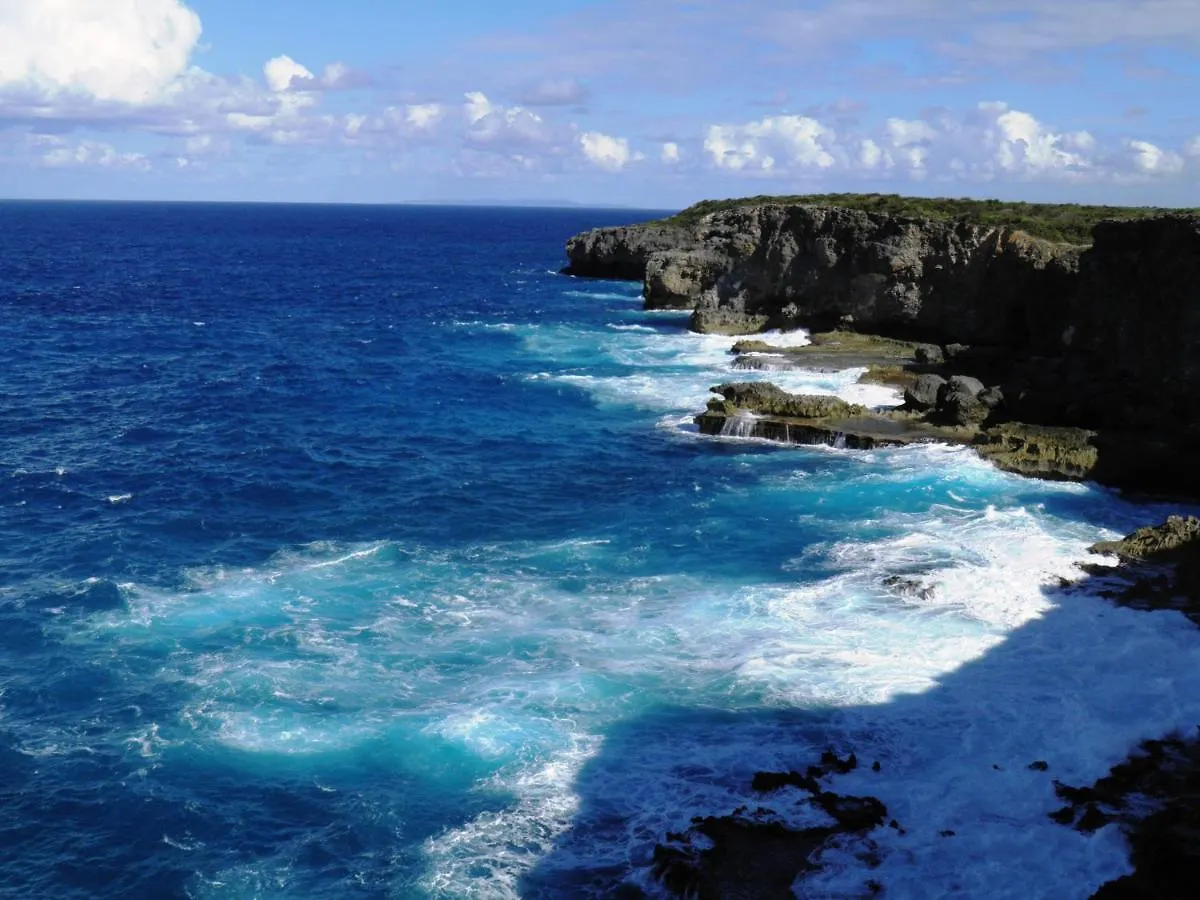 דסהייס Caraibes Cottages Corail Piscine Privee A 900M De La Plage De Grande Anse 0*,